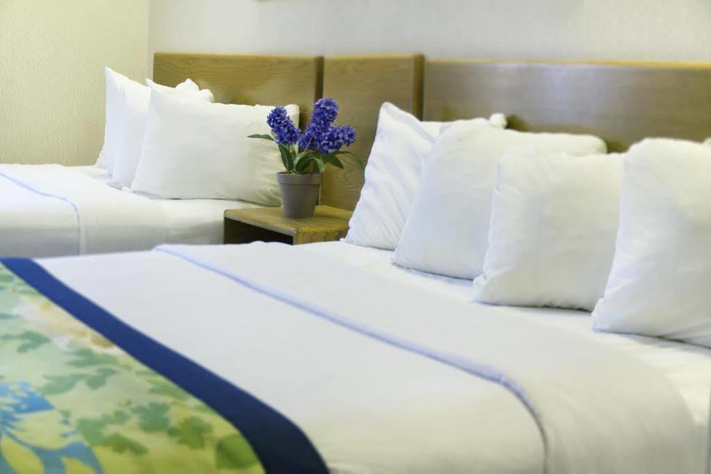 Hampton Inn & Suites-Asheville Biltmore Village, Nc Экстерьер фото